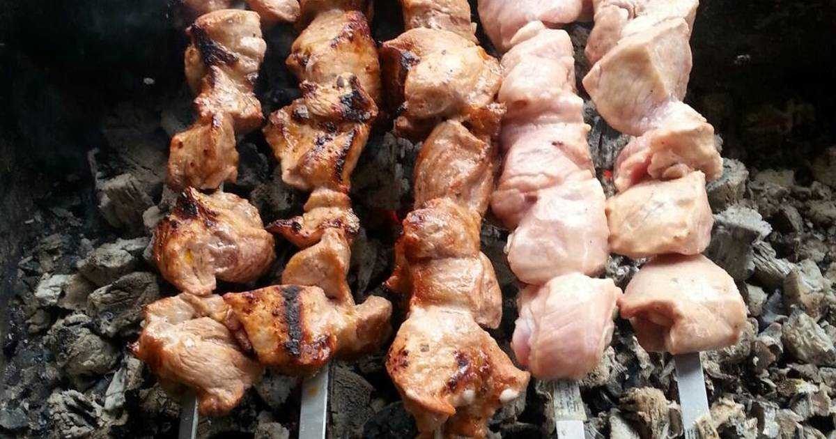 Шашлык из свинины на кефире – 12 рецептов