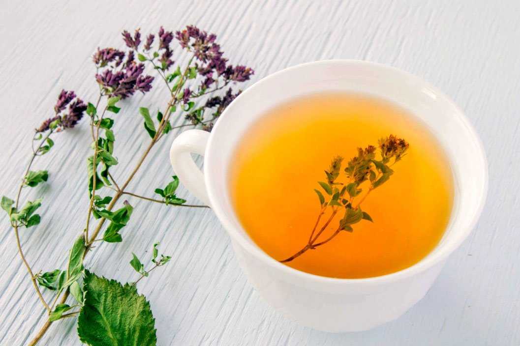 Чай с душицей: рецепты, польза и вред для женщин, мужчин и детей