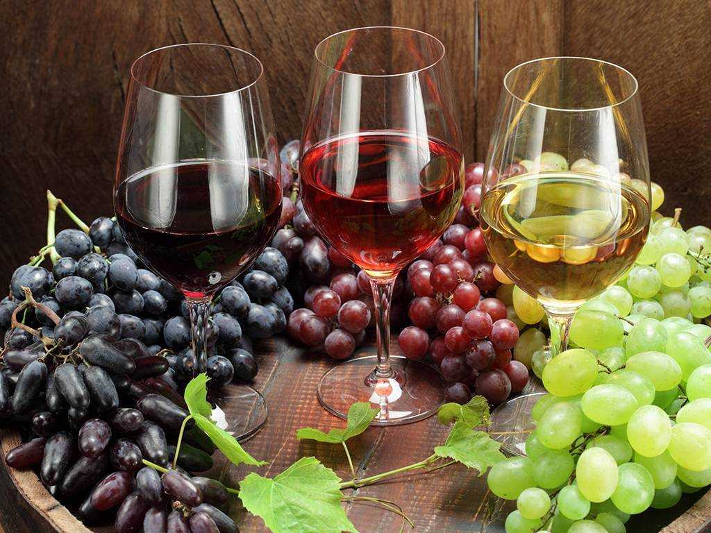 Домашнее сухое вино: особенности и рецепты приготовления в домашних условиях, как сделать ароматный алкогольный напиток из винограда, вишни и других фруктов