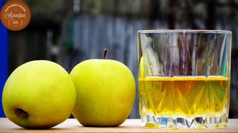 Самогон из яблок: рецепты, на чем настоять яблочный самогон