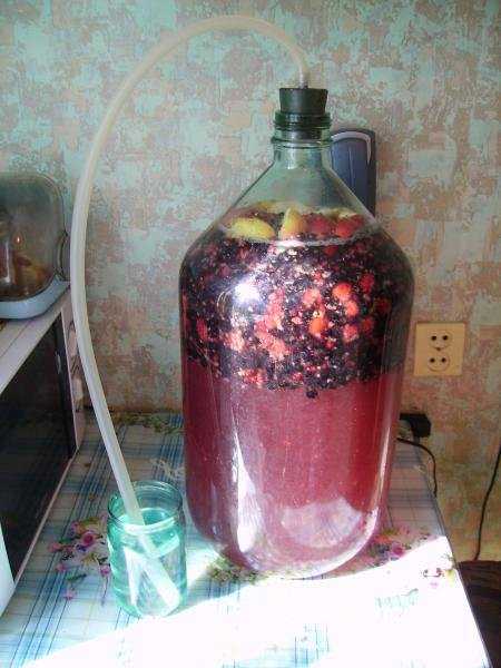 Домашнее вино из винограда лидия: рецепт приготовления