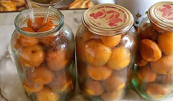 Компот из яблок и абрикосов на зиму: 4 лучших пошаговых рецепта, условия хранения