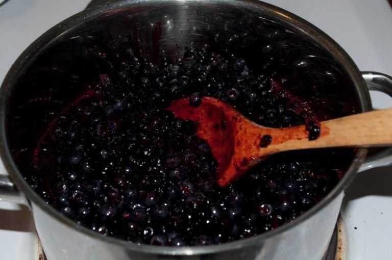 Простой рецепт настойки из черноплодной рябины на самогоне