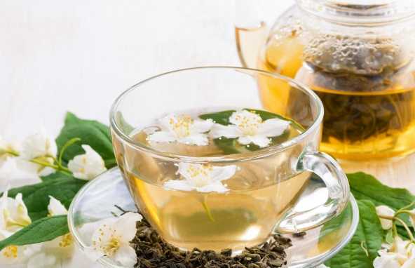 Чай с жасмином: полезные свойства и противопоказания