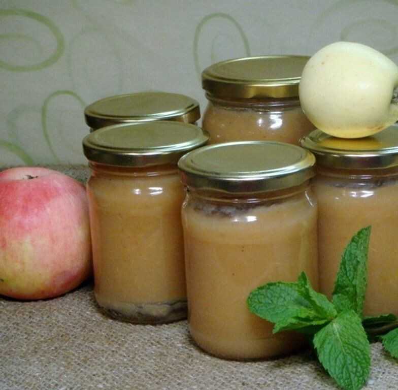 Яблочное пюре «неженка». способы приготовления десерта :: syl.ru
