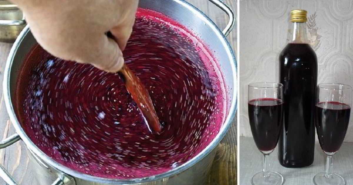 Домашнее вино из смородины — пошаговый рецепт с фото