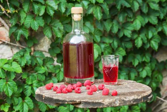 Особенности приготовления домашнего вина из садовых ягод