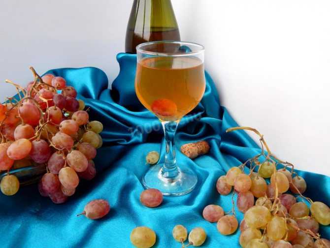 Виноградная наливка в домашних условиях ⋆ рецепты домашнего алкоголя