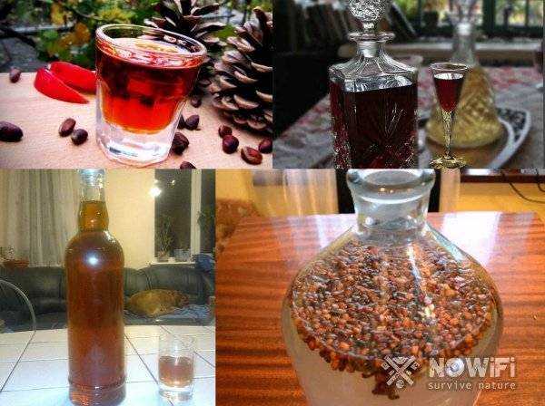8 лучших рецептов настойки кедровых орешков на спирту: для застолья и лечения