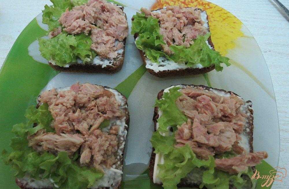 Бутерброды с консервированным тунцом — 3 рецепта приготовления