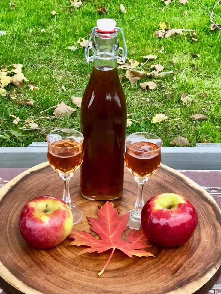 Настойка самогона на яблоках – простой рецепт приготовления