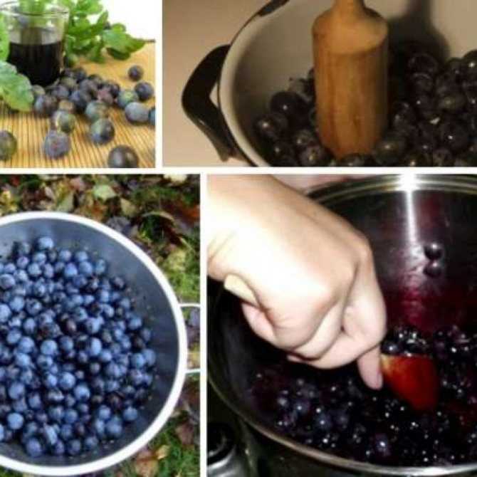 Рецепты приготовления домашней настойки, наливки и вина из изюма в домашних условиях
