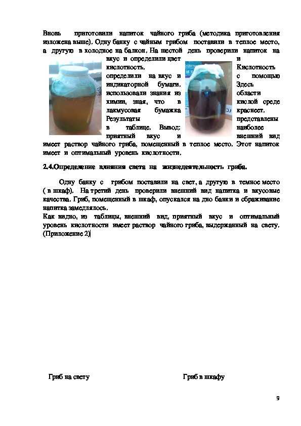 Комбуча (чайный гриб) | польза и рецепт приготовления напитка в домашних условиях