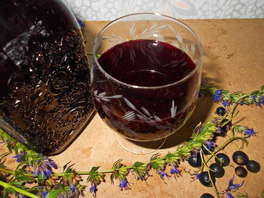 Вино из черной смородины: рецепты в домашних условиях