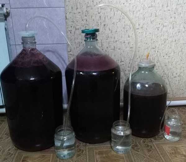 Вино из винограда в домашних условиях: рецепт приготовления