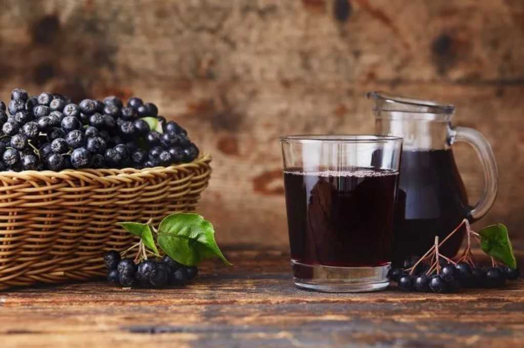 Сок черноплодной рябины: полезные свойства, как приготовить и рецепты лечения