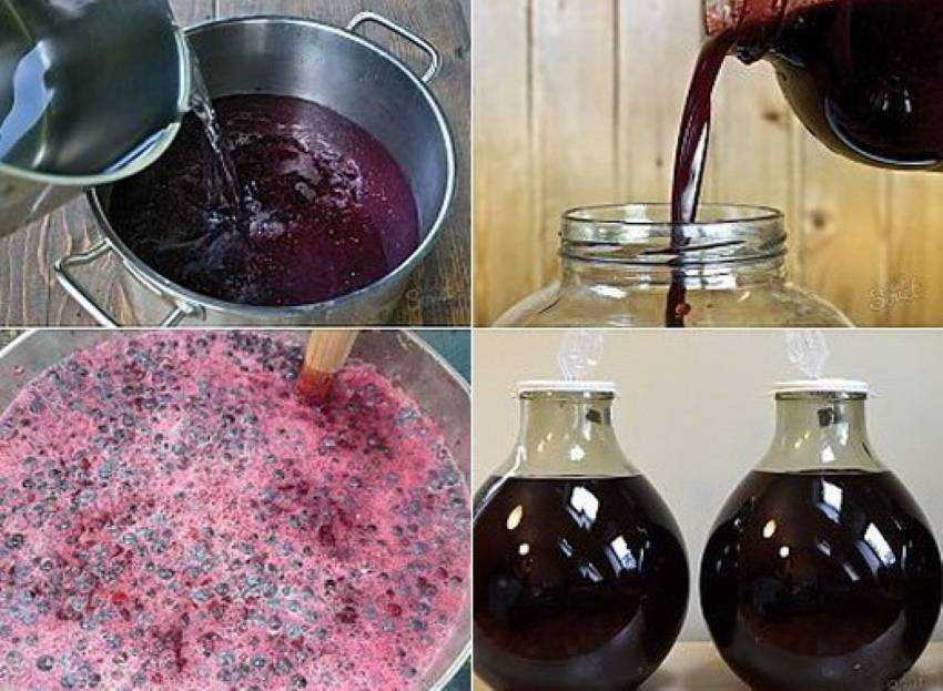 Простые рецепты вин из ягод для начинающих (видео)
