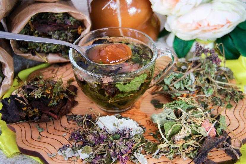 Cвойства и рецепты приготовления земляничного чая