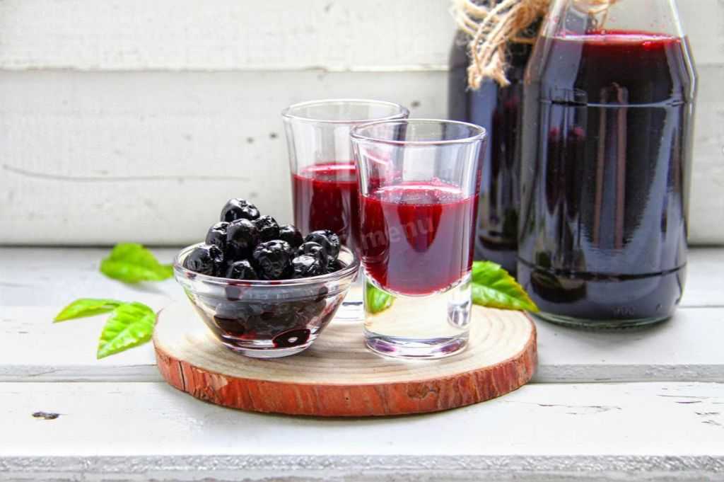 Настойка из черноплодной рябины в домашних услолвиях: 4 рецепта