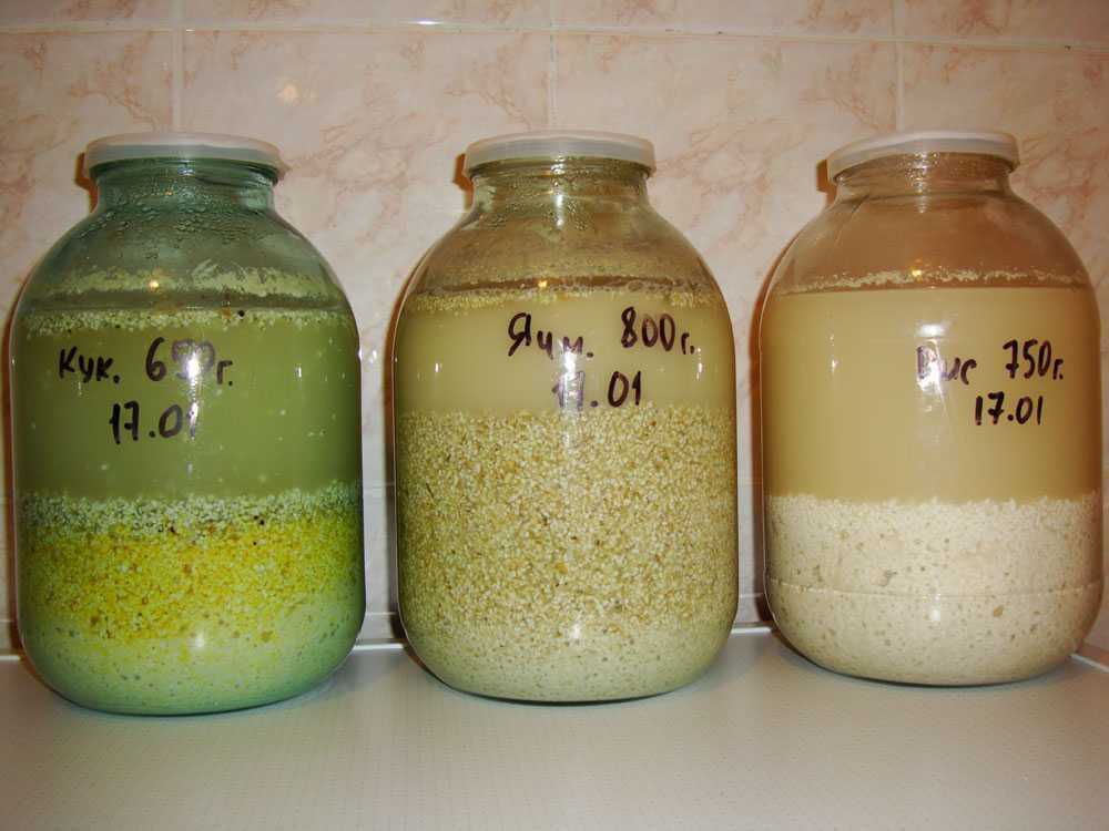 Как сделать самогон из пшеницы в домашних условиях? пошаговое приготовление без дрожжей и сахара по рецепту