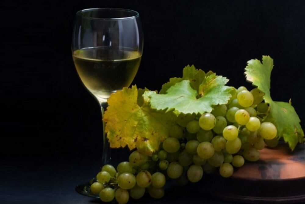 Как сделать вино из белого винограда в домашних условиях (рецепт приготовления)