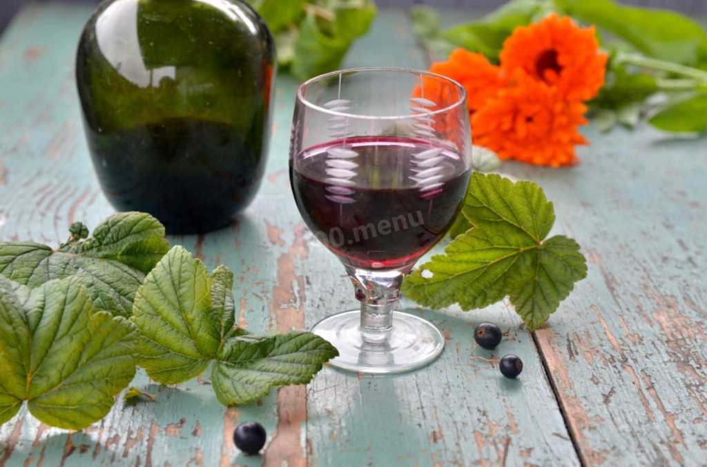 Рецепты вин из черной бузины – простые и не очень
