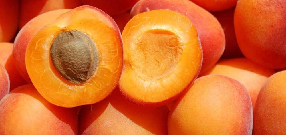 Пюре из абрикосов на зиму без сахара - рецепт с фото пошагово