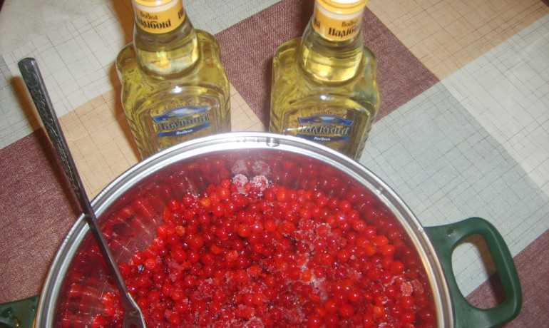 Настойка из калины: как сделать на водке или на спирту, рецепты с добавлением самогона в домашних условиях, полезные свойства ягоды