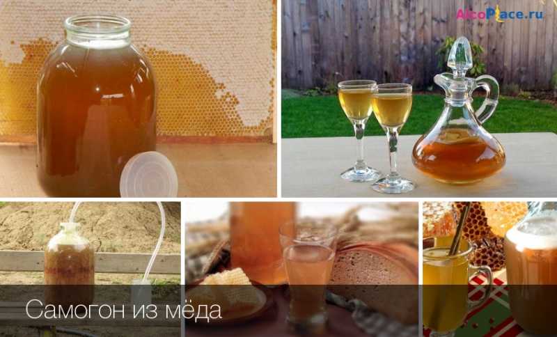 Самогон из мёда в домашних условиях три простых рецепта браги