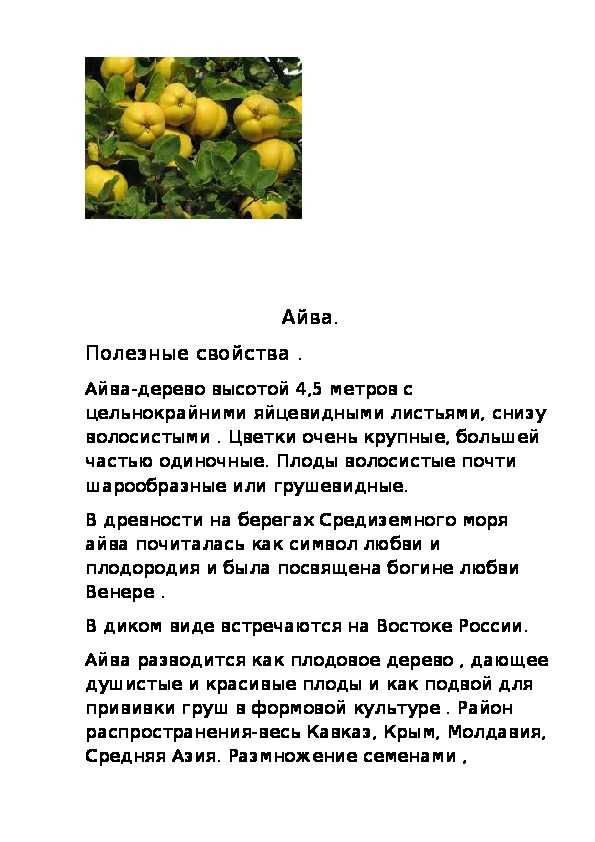 Айва с орехами - 90 рецептов: варенье | foodini