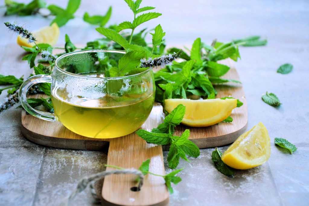 Рецепты зеленый чай с мятой
