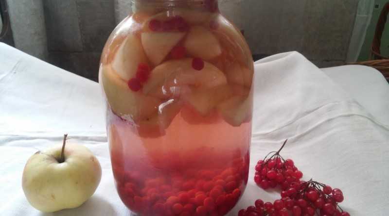 Компот из калины: польза для ребенка и взрослого, как приготовить напиток с яблоками, медом, рецепты заготовок на зиму