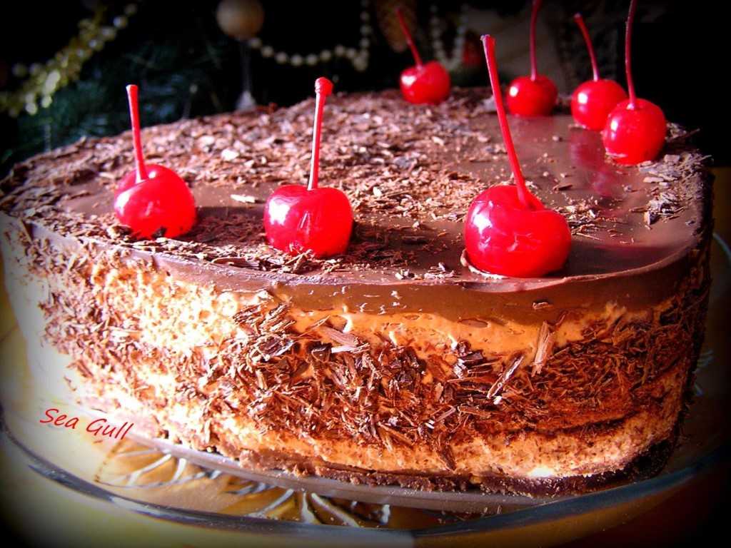 Шоколадное суфле для торта - 230 рецептов: торт | foodini