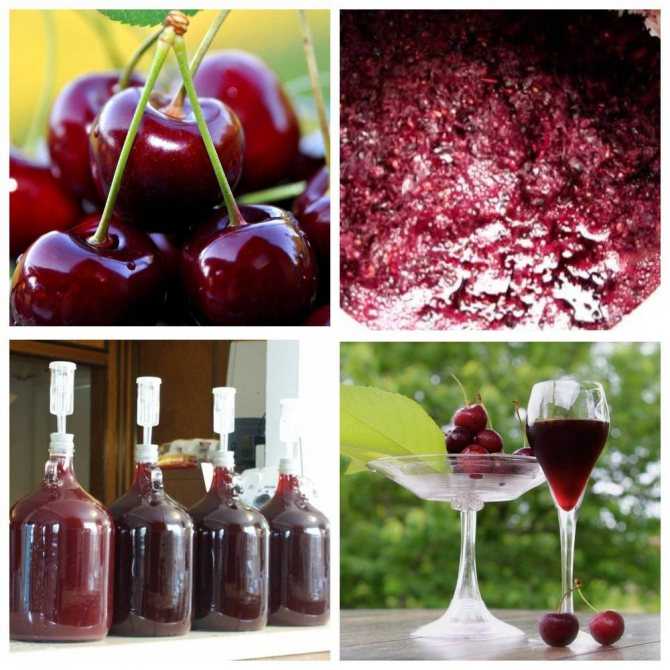 Домашнее вино из черешни: рецепт. приготовление вина из черешни в домашних условиях :: syl.ru