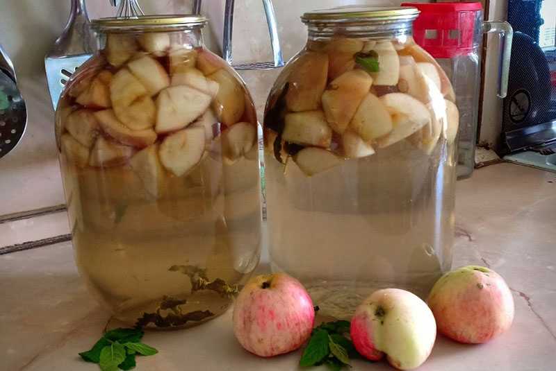 Компот из яблок для грудничка: возраст младенца, состав, ингредиенты, пошаговый рецепт с фото, нюансы и секреты приготовления, самые полезные рецепты для детей