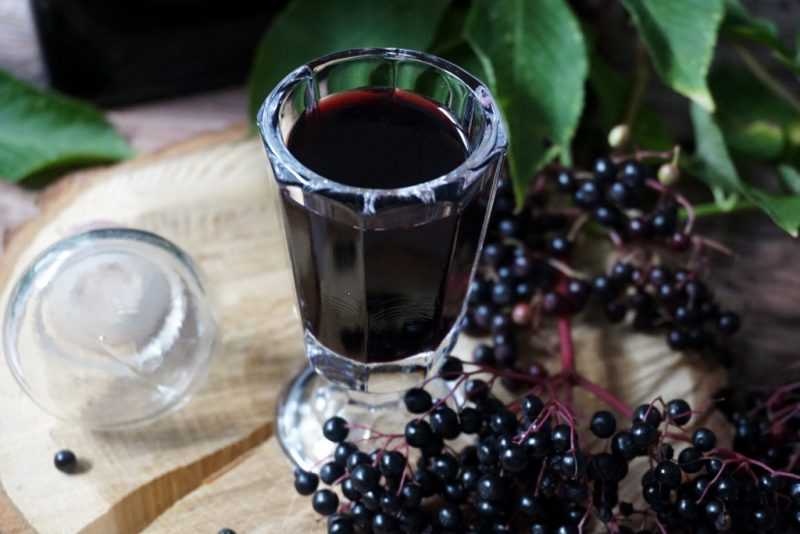 Вино из черной бузины в домашних условиях - пошаговый рецепт
