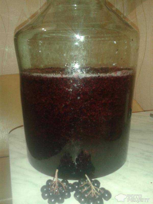 Рецепты напитков из черноплодной рябины в домашних условиях