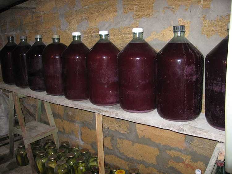 Виноградное вино в домашних условиях: простой рецепт с фото пошагово