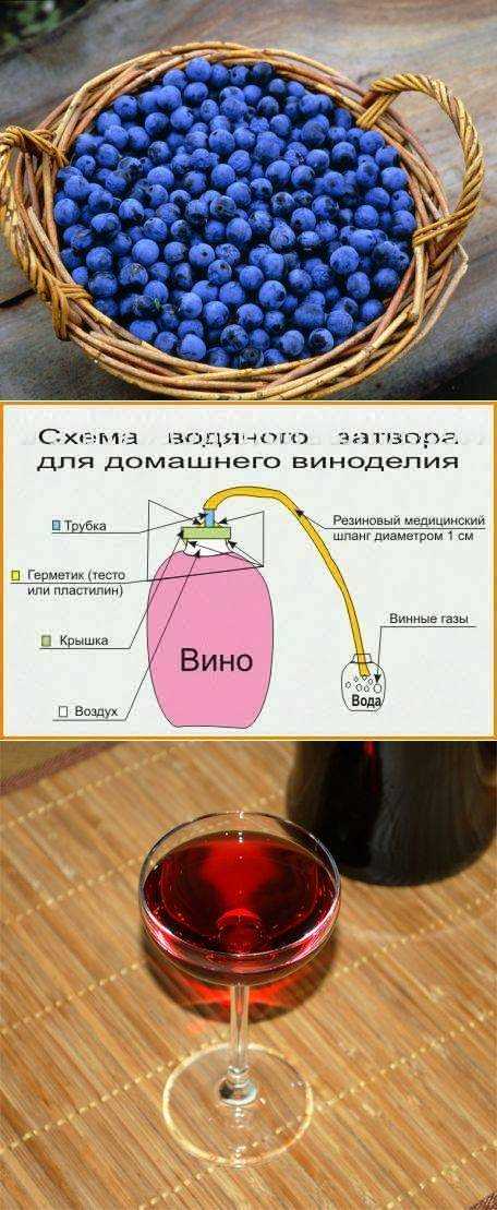 Как сделать вино из сливы в домашних условиях. рецепты приготовления домашнего вина из слив пошагово с фото