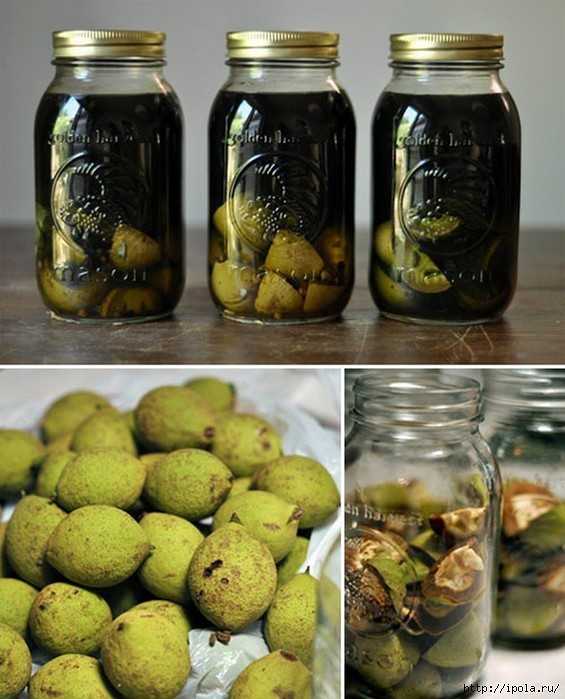 Настойка на перегородках грецкого ореха на водке и спирту: применение, приготовление