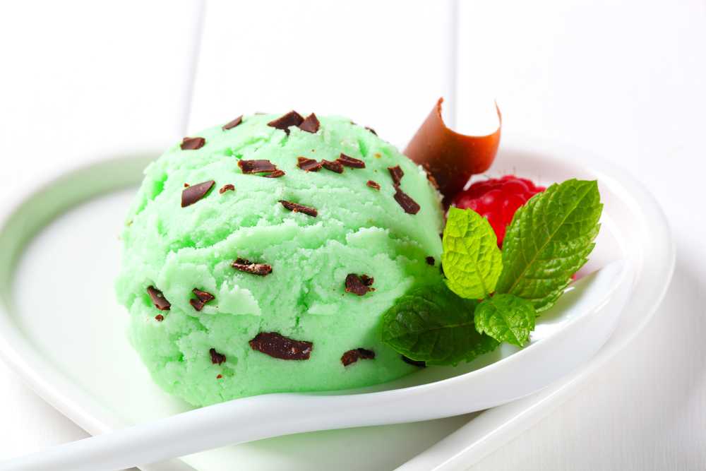 Мороженое с мятой и шоколадом рецепт с фото пошагово - 1000.menu