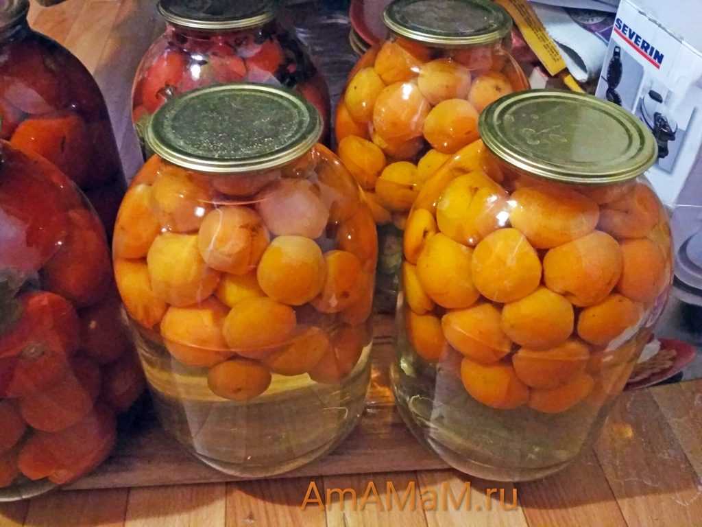 Абрикосовый компот на зиму: рецепт на 3-х литровую банку (с лимоном и яблоками)