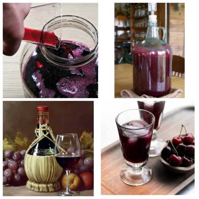 Домашнее красное вино: технология приготовления напитка