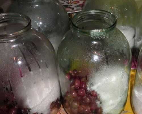 Компот из винограда на зиму — рецепты на 3 литровую банку