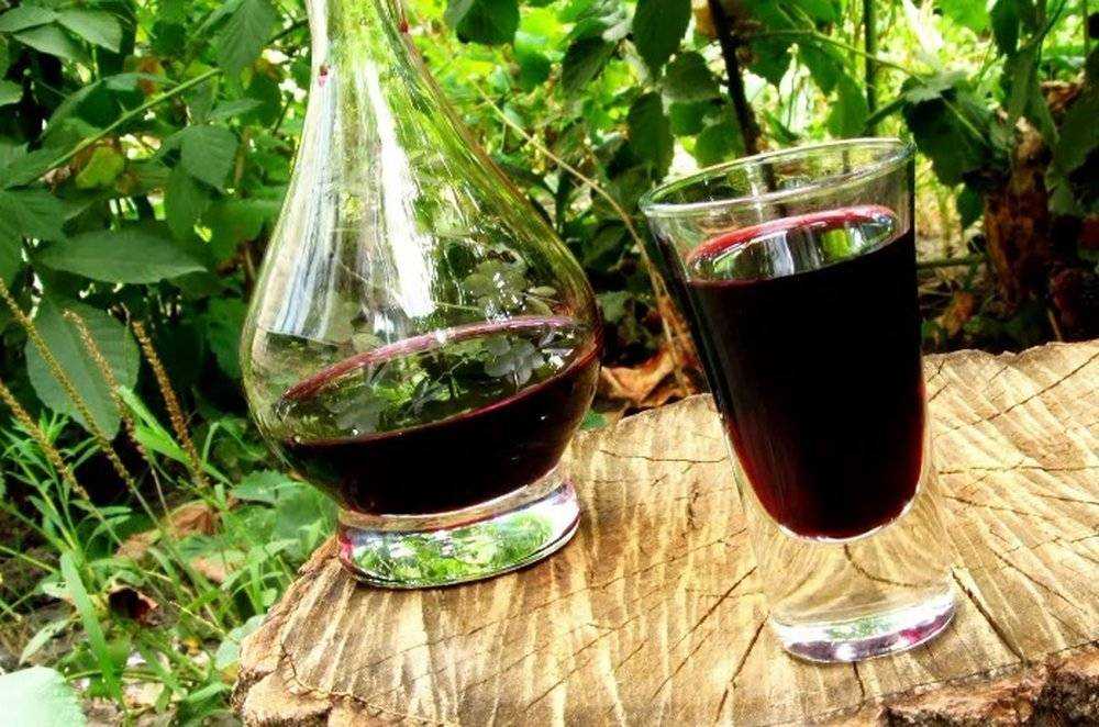 Можно ли делать вино из черемухи. вино из черемухи в домашних условиях: секрет отменного вкуса