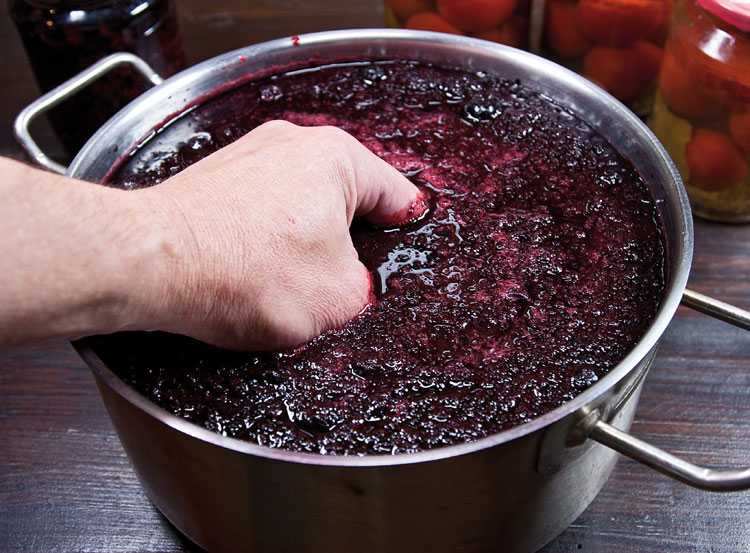 Наливка из черноплодной рябины — пошаговый рецепт с фото
