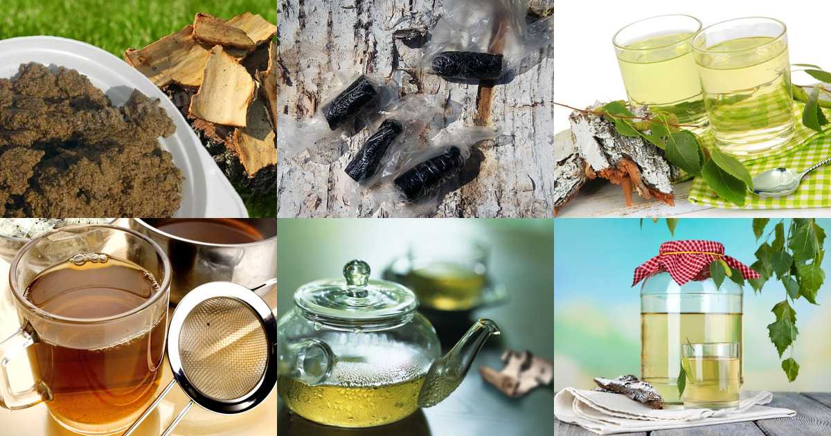 Чудодейственный чай из березовой чаги: 7 рецептов для вашего здоровья