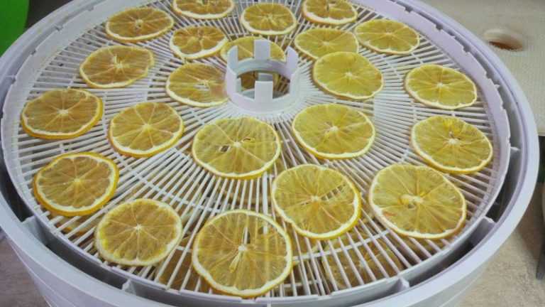 Цукаты из лимонных корок: рецепт приготовления в домашних условиях, как сделать быстро