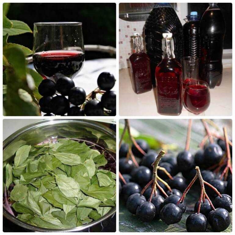 Крепленое вино из черноплодной рябины простой рецепт