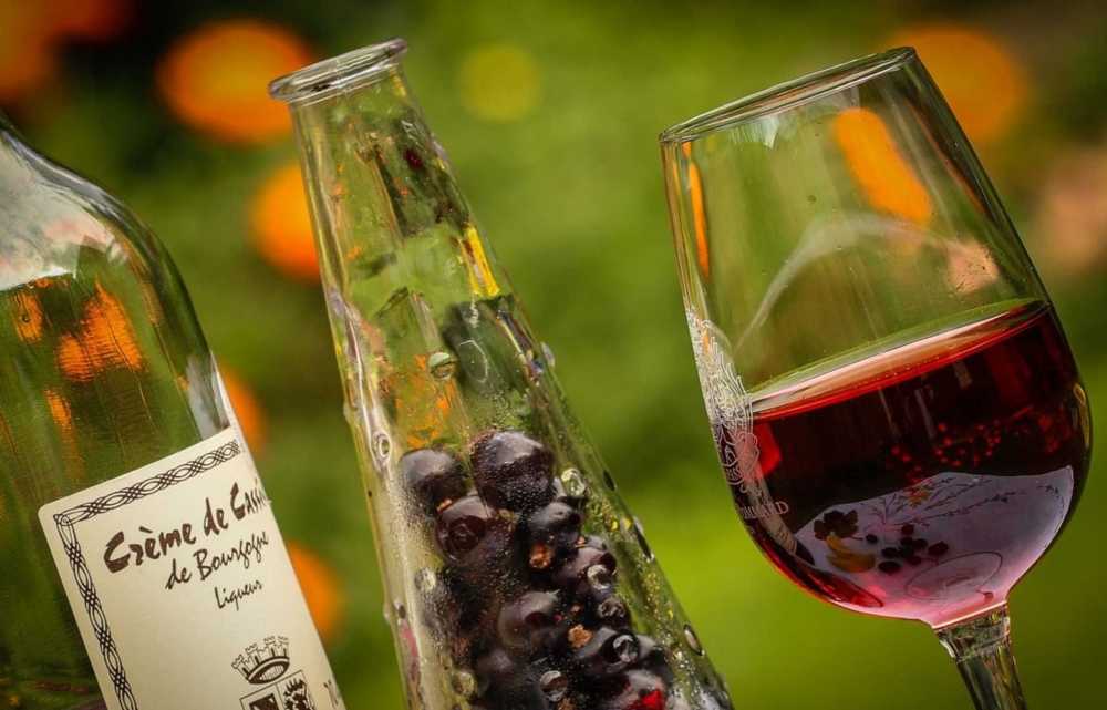 Домашнее вино из винограда - как приготовить в домашних условиях по простым рецептам с фото